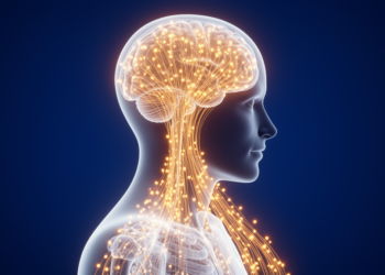 How the Brain Builds a Bodily Self: New Clues to Autism From Multisensory Science