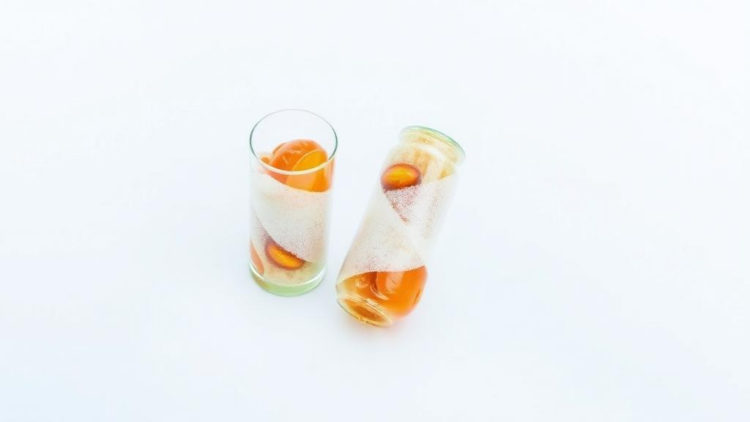 Glassy Shields Keep Freeze-Dried Probiotics Alive, Study Finds