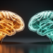 Autism and ADHD Show Distinct Neurocognitive Blueprints Behind Similar Social Struggles