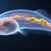 PFOS Exposure May Trigger Early Atherosclerosis, Zebrafish Study Reveals