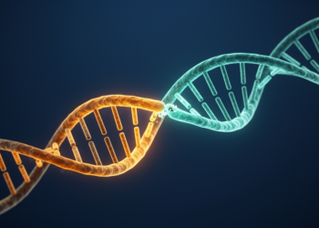 A Genetic Impostor: How GC-Biased Gene Conversion Rewrote a Vital Motif in Monotremes