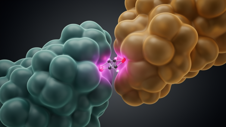 Tryptoline stereoprobe elaboration identifies inhibitors of the GRPEL1–HSPA9 complex