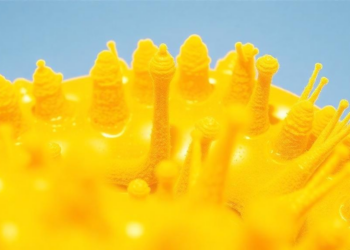 Desert and City Yeasts Reveal Natural Sunscreen Genes for Next-Generation Sun Protection