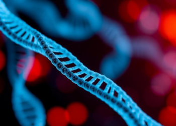Long and Short DNA Reads Join Forces to Sharpen Forensic Mitochondrial Profiling