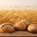 Rising Carbon Dioxide Reshapes Wheat Proteins, Threatening Bread Quality