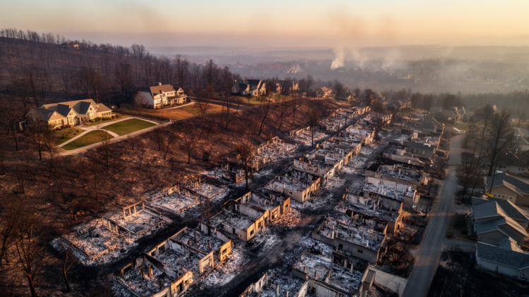 Neighborhood building density emerges as strongest predictor of home destruction in 2025 Palisades Fire