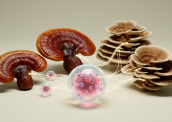 Medicinal mushrooms mapped onto the hallmarks of cancer