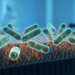 Bacterial Bioelectricity at Fifteen: From Provocative Spikes to Programmable Microbial Collectives
