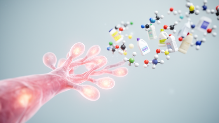 Everyday Chemical Mixtures May Reshape Breast Tissue Development, Study Finds