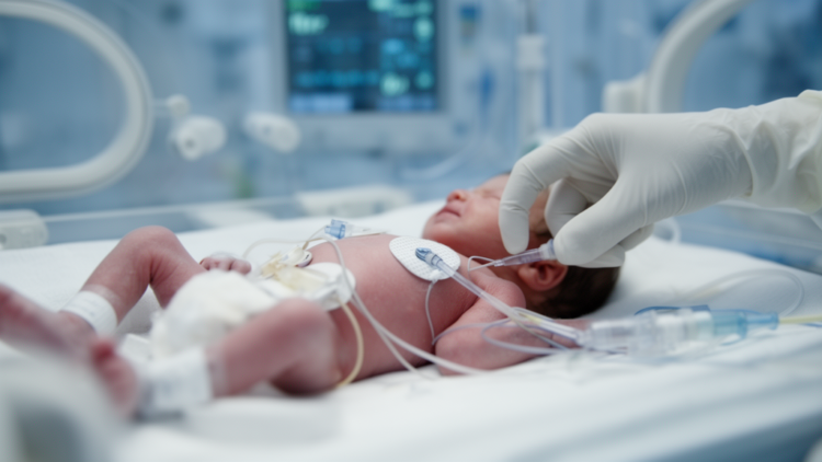 Blood Protein Signal at End of Heart Bypass Linked to Kidney Injury in Infants