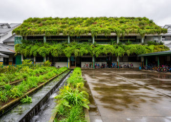 Green Roofs and Gardens Could Halve Flooding at a Drowning Ecuadorian School