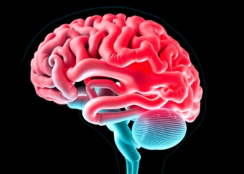 Radiation Dose to the Brain, Not Tumor Size, Drives Immune Cell Loss in Glioblastoma Patients