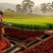 Gold Rush on the Farm: Ethiopian Study Weighs Mining’s Promise Against Policy Gaps