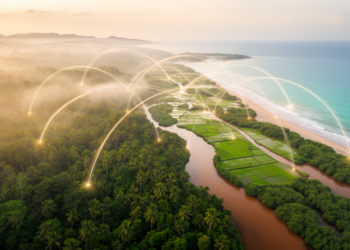 Southeast Asia’s Hidden Carbon Flows Mapped Like an Ecosystem Food Web