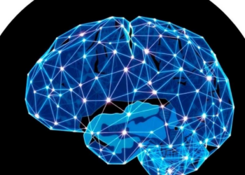 Twenty Years of Network Thinking: How Epilepsy Science Is Redrawing the Map of Seizures