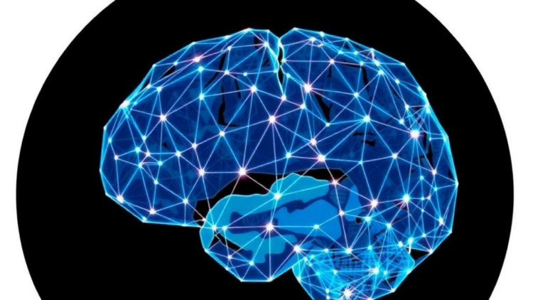 Twenty Years of Network Thinking: How Epilepsy Science Is Redrawing the Map of Seizures
