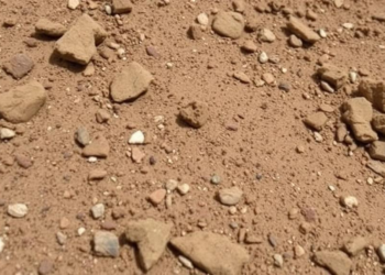AI Reads Himalayan Soils: Machine Learning Predicts Erosion Risk From Simple Soil Tests