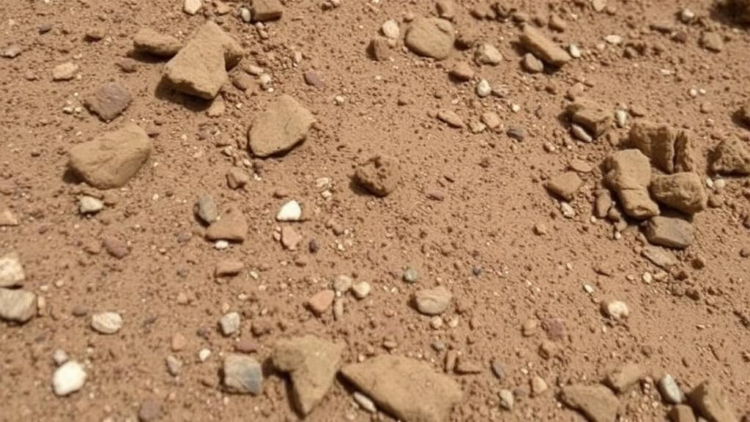 AI Reads Himalayan Soils: Machine Learning Predicts Erosion Risk From Simple Soil Tests