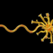 One Proline, Two Lost Charges: Simulations Reveal Divergent Early Paths of Amyloid-Beta Fragments