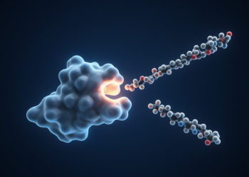 Scientists Design Artificial Enzymes That Cleave Protein Chains From Scratch