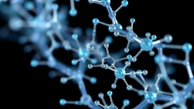Carbon Nanotube and Zinc Oxide Nanowire Hybrids Reveal a Toxic Trade-Off for Cells