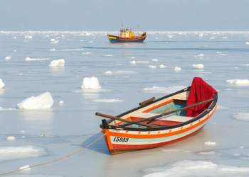 Ice Shortages Drive Heavy Fish Losses for Oman’s Small-Scale Fishers