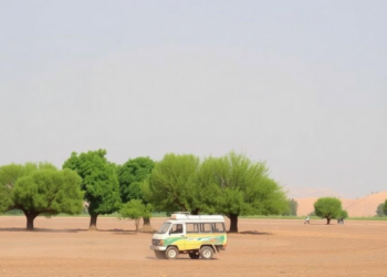 Trees Quietly Return to Afghanistan’s Farmland While Forests Keep Vanishing