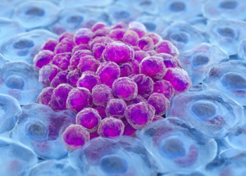 Sex Chromosomes Direct Cancer, Heart Health, and Longevity