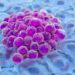 Sex Chromosomes Direct Cancer, Heart Health, and Longevity
