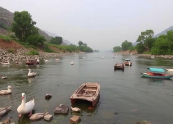 Antibiotic Residues in Pakistan’s River Jhelum Raise Ecological Alarm While Human Risks Stay Low