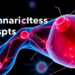 Mechanical Stress Hotspots Guide Where Muscle Cells Fuse, Study Finds