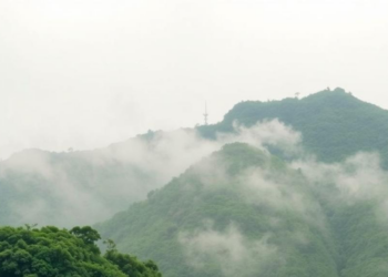 China’s Skies Are Clearing, But Its Vegetation Is Losing an Aerosol-Driven Productivity Bonus