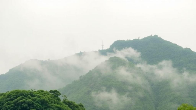 China’s Skies Are Clearing, But Its Vegetation Is Losing an Aerosol-Driven Productivity Bonus