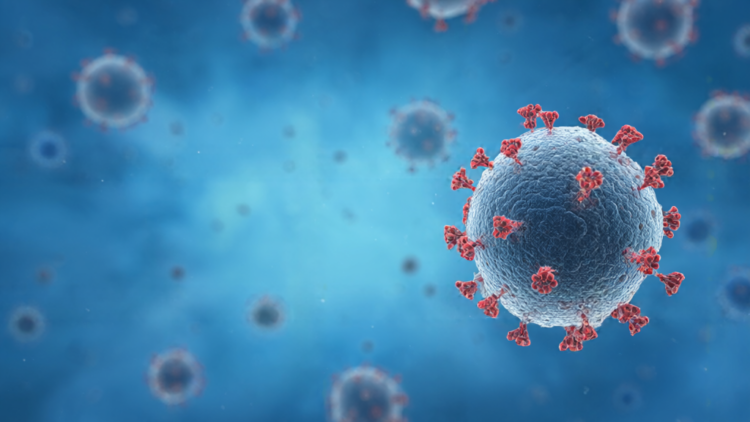 Pirbright Study Links COVID-19 Immunity to Bat Coronavirus Protection