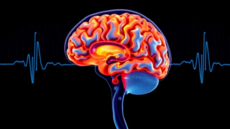 Dynamic Brain Imaging Meets EEG Spectral Analysis to Catch Hidden Early Brain Injury