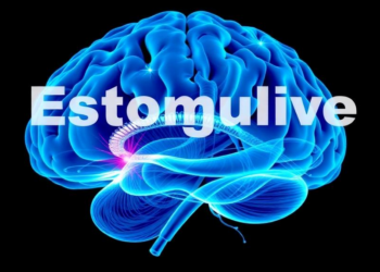 Landmark Study Linking Estrogen to Ketamine Brain Protection Retracted Over Image Integrity