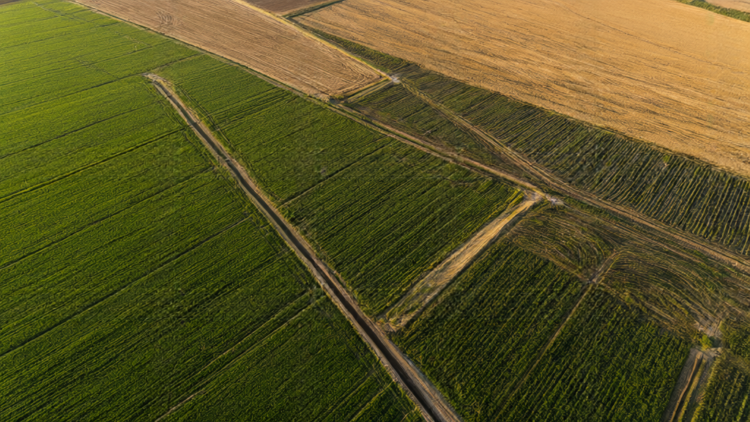 Irrigation Yields Massive Greenhouse Gas Savings for U.S. Agriculture