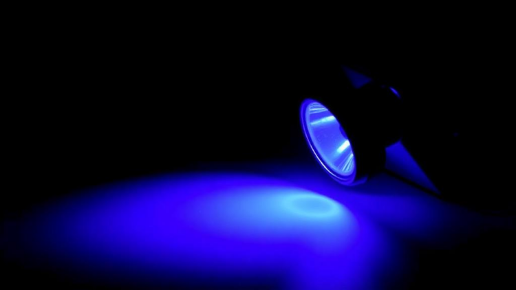 Solvent-Proof Fluorescent Nanosensor Spots Pesticides With a Portable UV Lamp