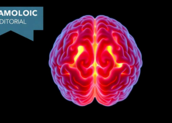 Enlarged Brain Choroid Plexus Emerges as a New Imaging Fingerprint of Metabolic Syndrome