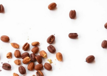 Scientists Turn Coffee Waste Into Tiny Flavor Carriers That Survive the Heat