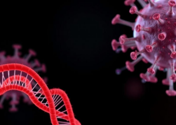Cellular RNA Sensors Form First Line of Defense Against Neglected Mosquito-Borne Virus