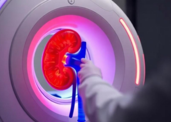 Scientists crack the code of kidney oxygenation with MRI-PHYSIOL-NIRS