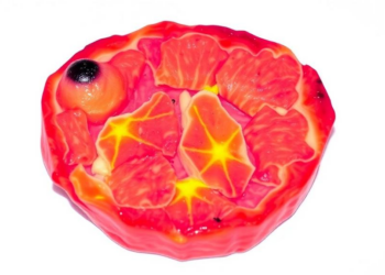 Hyperspectral imaging predicts plant-based meat texture without destroying the sample