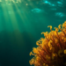 Ocean Algae Reveal Surprising VOC Secrets Under Changing Light