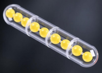 Lipid Nanocapsules Boost Intestinal Permeability of Antiparasitic Triterpenes for Oral Delivery