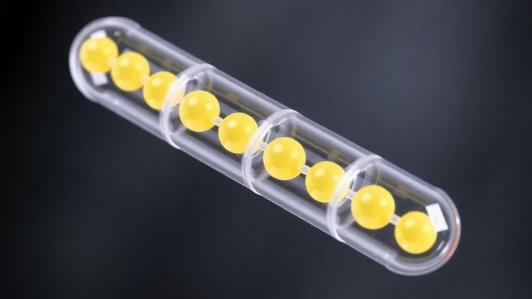 Lipid Nanocapsules Boost Intestinal Permeability of Antiparasitic Triterpenes for Oral Delivery