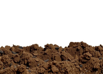 Guano-Based Organic Fertilizer Shows a Sweet Spot for Restoring Degraded Soils