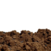 Guano-Based Organic Fertilizer Shows a Sweet Spot for Restoring Degraded Soils