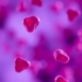 Early Fostamatinib Use Shows High Response Rates in Immune Thrombocytopenia