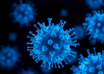 Cobalt Compound Halts Colorectal Cancer Cells by Jamming CDK4/6 and BCL2